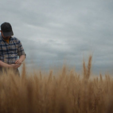 Super Bowl Ads: Bigger is Not Always Better