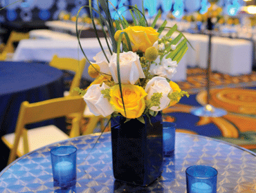 2013 ISES Minnesota Star Awards