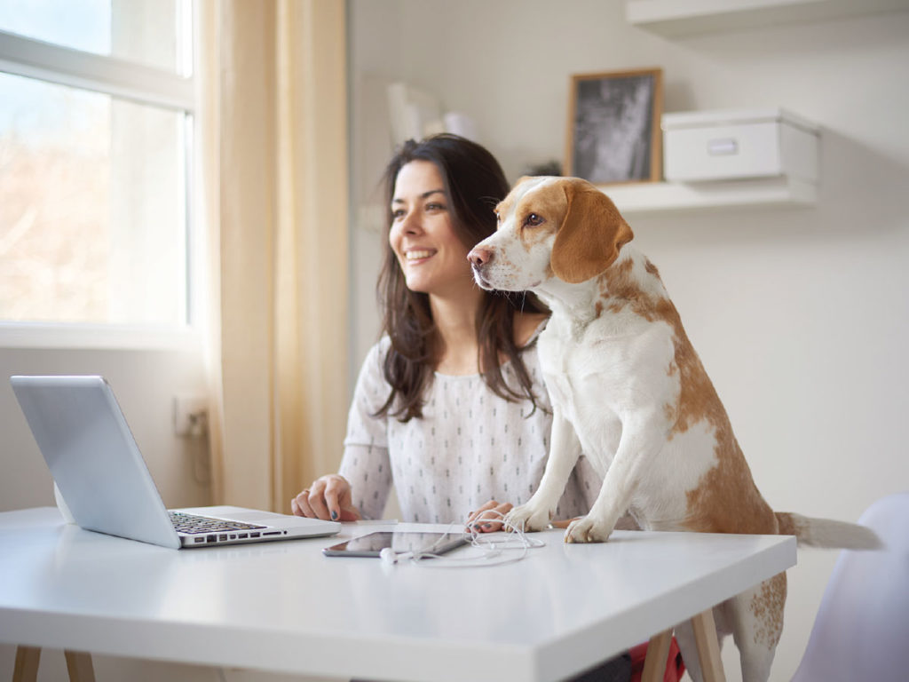 Home Office with pet
