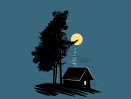 Illustration of cabin at night