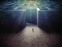 Person looking at a maze