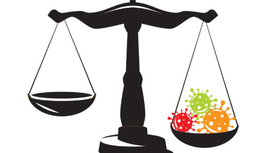 Litigating the Pandemic