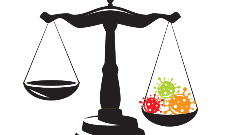 Litigating the Pandemic