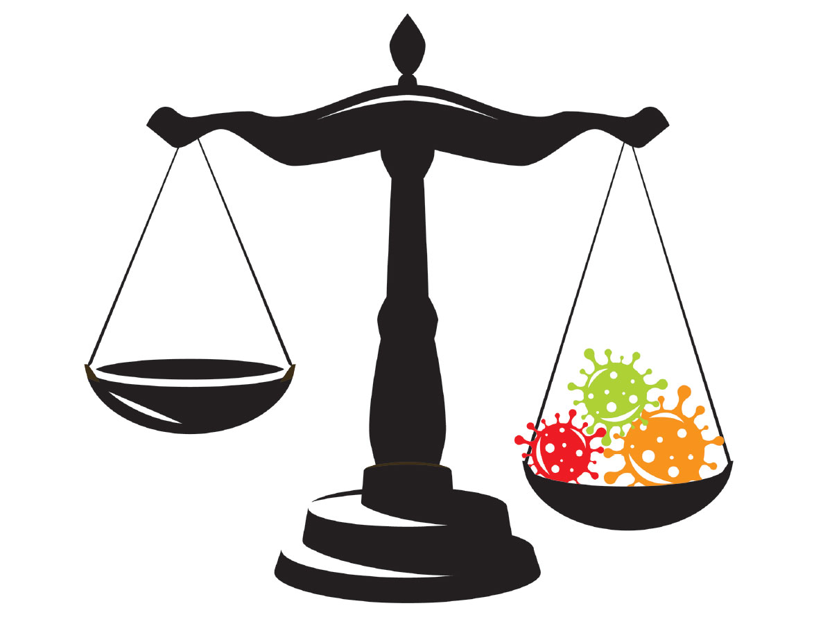 Litigating the Pandemic