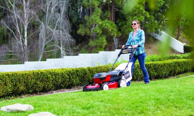 Toro Reports Q4 and Full Year Results