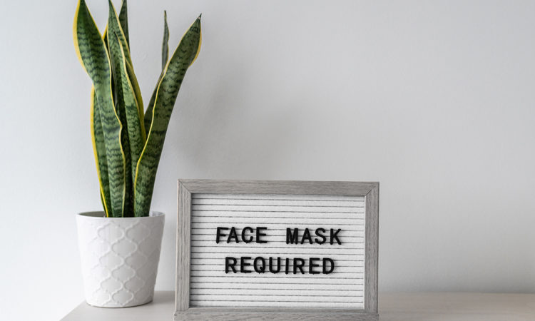 From Mask Shame to Mask Fame