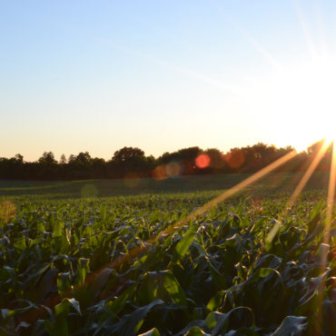 Minnesota Food and Ag Giants Refine Goals for Food Initiative