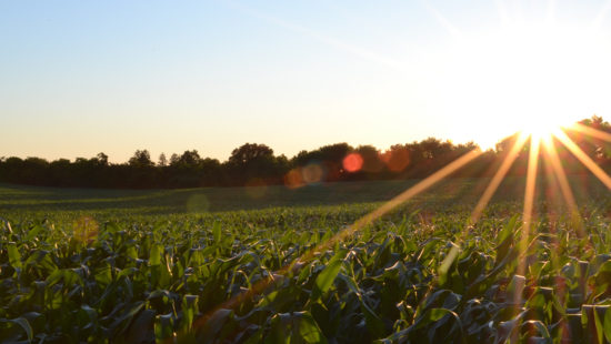Minnesota Food and Ag Giants Refine Goals for Food Initiative