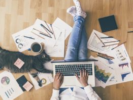 Cat lying next to a person working on a computer