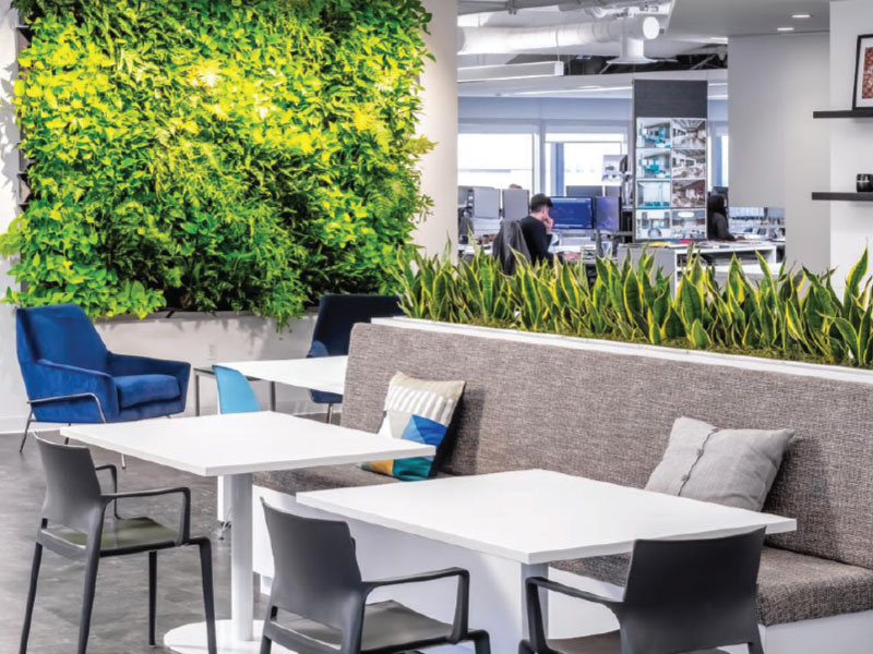 cafeteria with lots of plants