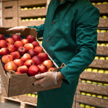 Corrugated: The Multi-Tasking Workhorse of Packaging