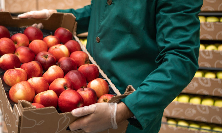 Corrugated: The Multi-Tasking Workhorse of Packaging