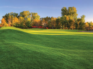Oakdale’s Oak Marsh Golf Course