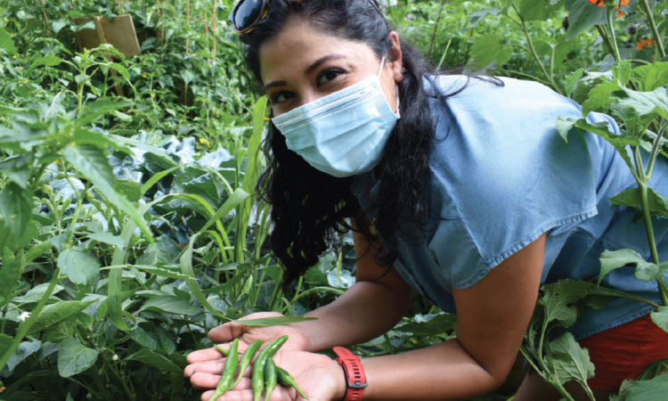 Hybrid Volunteering Provides New Opportunity