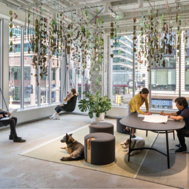 Office Envy: MSR Design