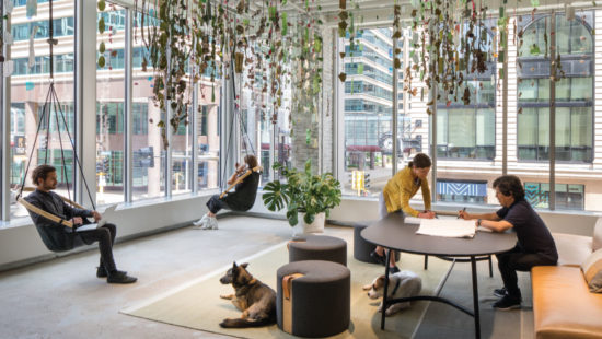 Office Envy: MSR Design