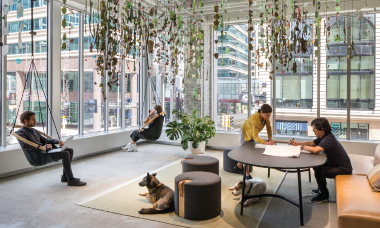 Office Envy: MSR Design