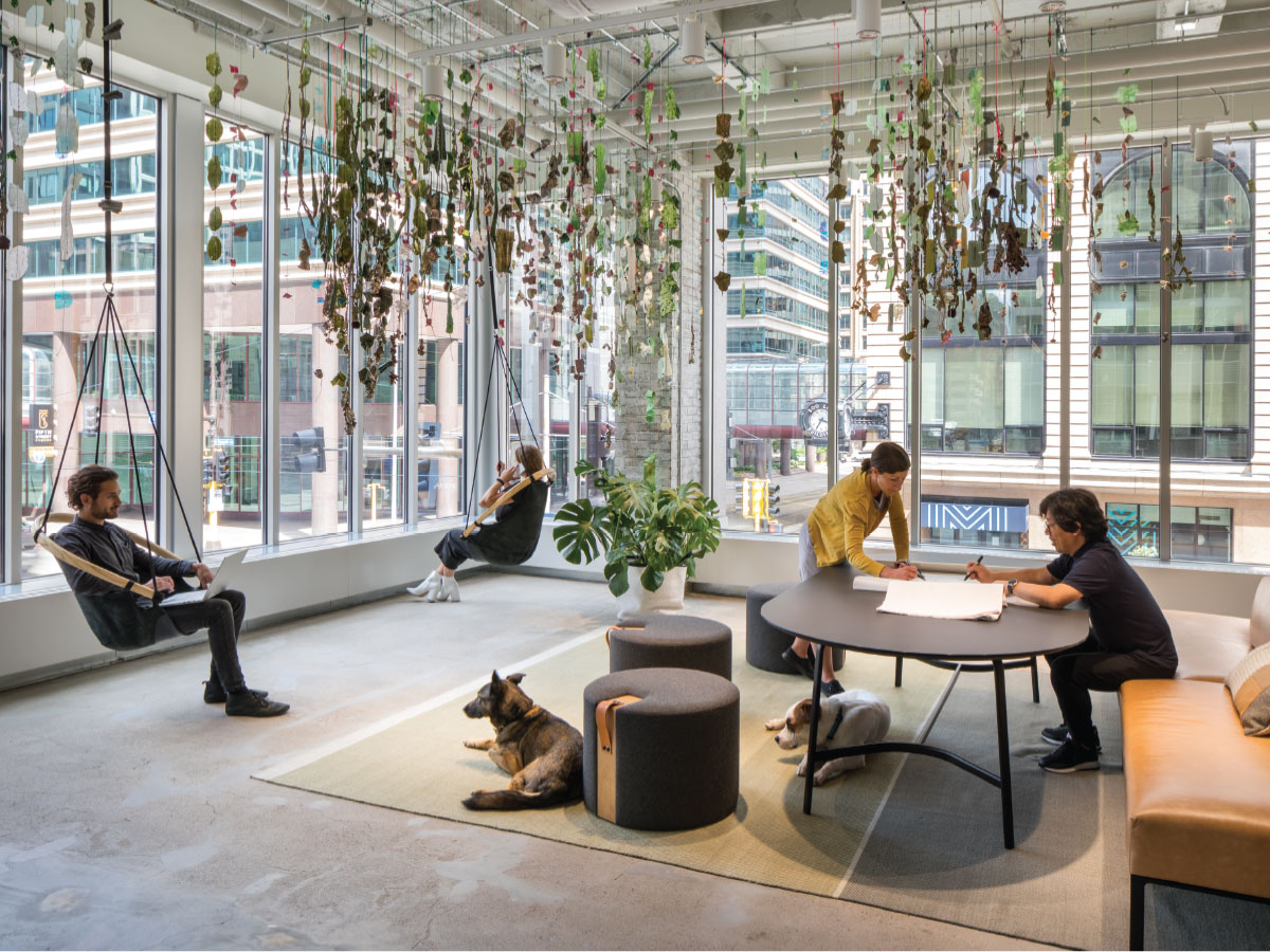 Office Envy: MSR Design