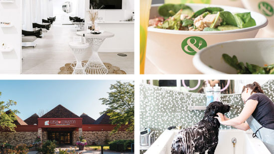 Four Twin Cities-Based Franchises to Watch
