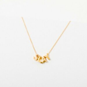 Larissa Loden necklace
