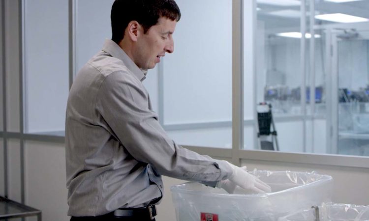 Eden Prairie-based Miromatrix Implants Bioengineered Livers into Pigs