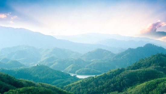 McKnight to Leverage its $3 Billion Endowment to Address Climate Change