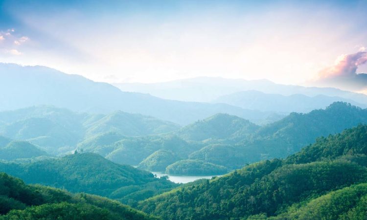 McKnight to Leverage its $3 Billion Endowment to Address Climate Change