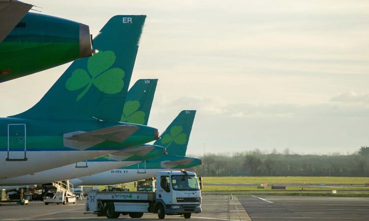 No Luck of the Irish for MSP