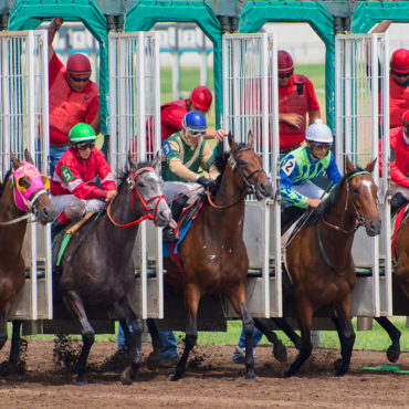 Jan Malcolm’s Horse, and Other Things to Glean Through Minnesota Financial Disclosures