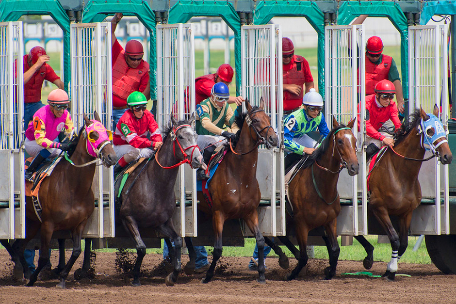 Jan Malcolm’s Horse, and Other Things to Glean Through Minnesota Financial Disclosures