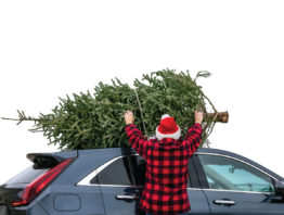 person putting Christmas tree on hood of car