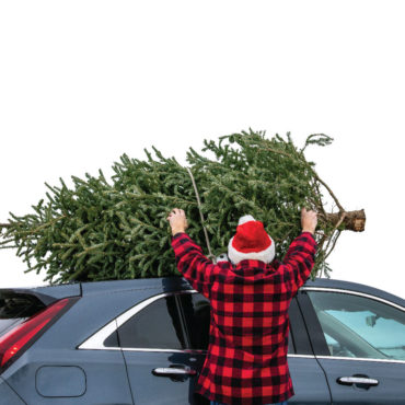 Bestsellers: Rum River Tree Farm