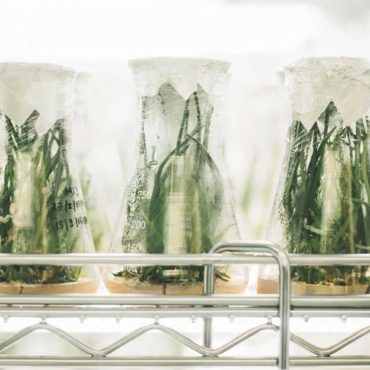 Hormel Backs Alternative Meat VC Fund