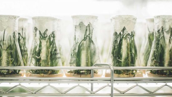 Hormel Backs Alternative Meat VC Fund