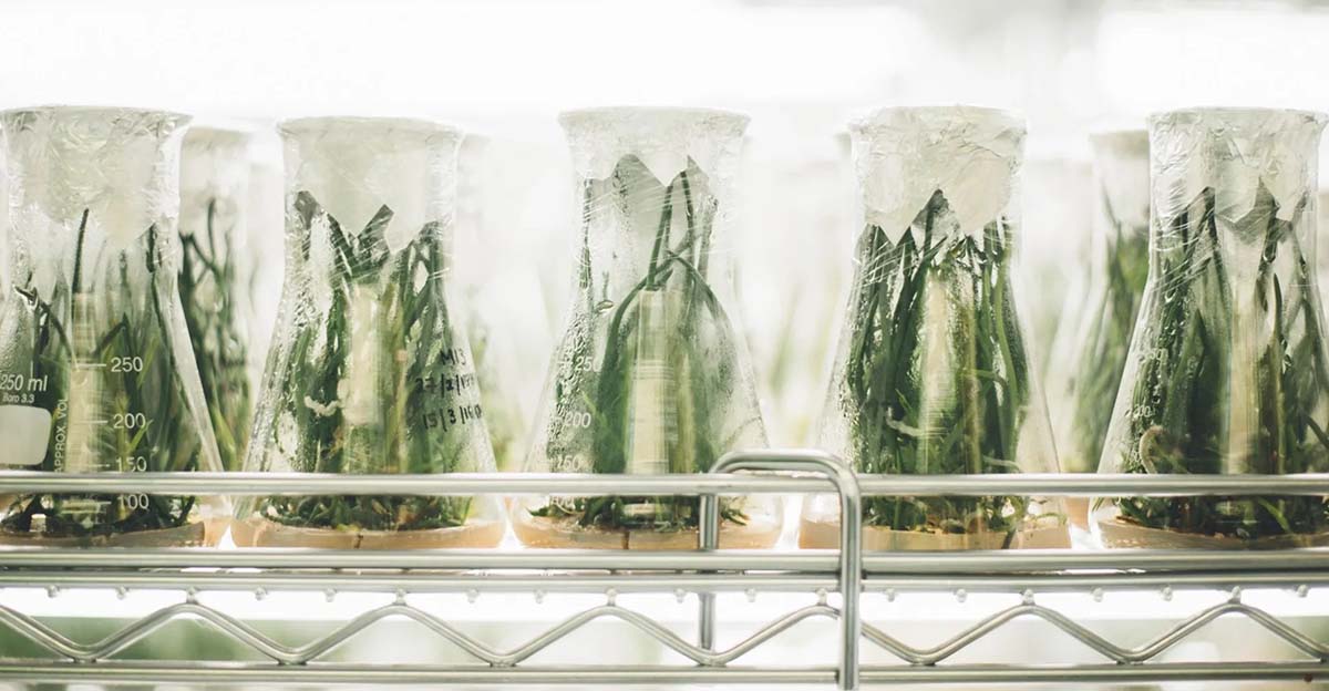 Hormel Backs Alternative Meat VC Fund