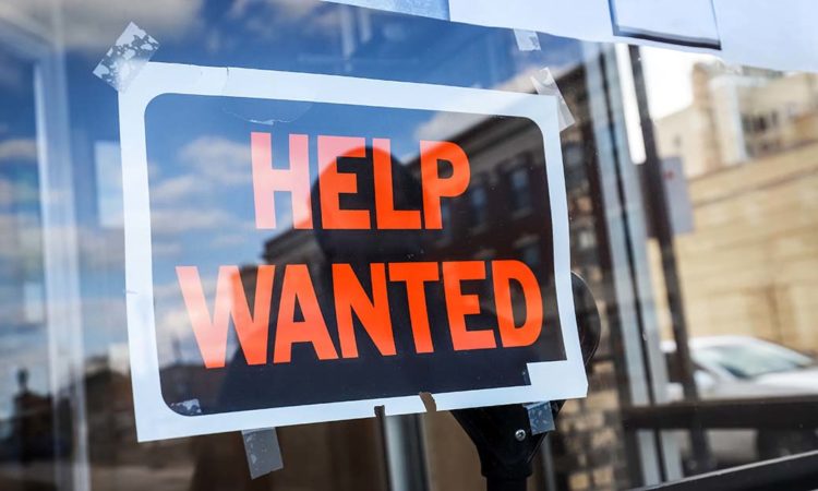 Minnesota Unemployment Rate Fell in November