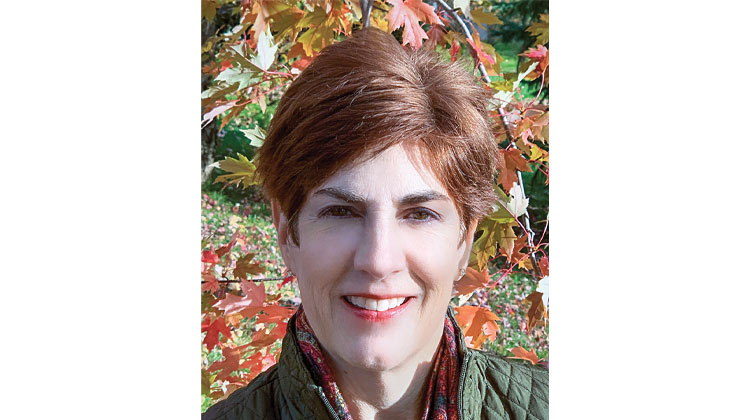 Lisa Diehl Principal, Diehl & Partners