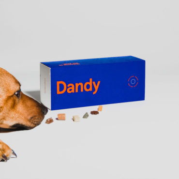 Target Launches Second Pet Accelerator Program