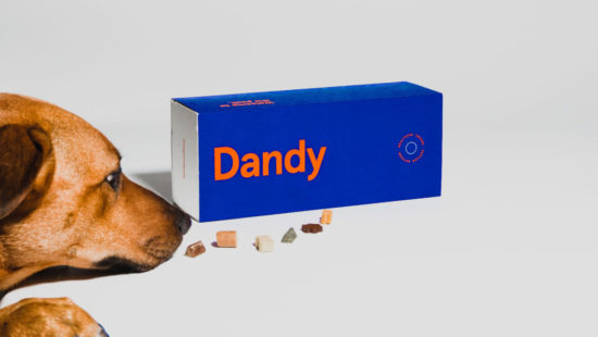 Target Launches Second Pet Accelerator Program