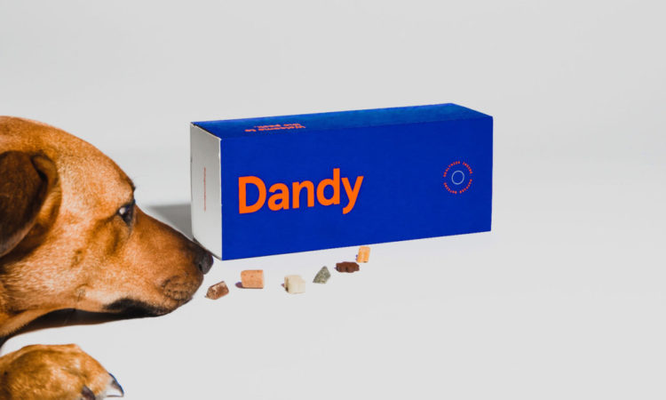 Target Launches Second Pet Accelerator Program