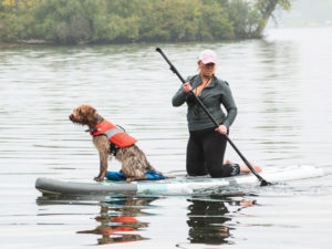 Adventure Is Barking