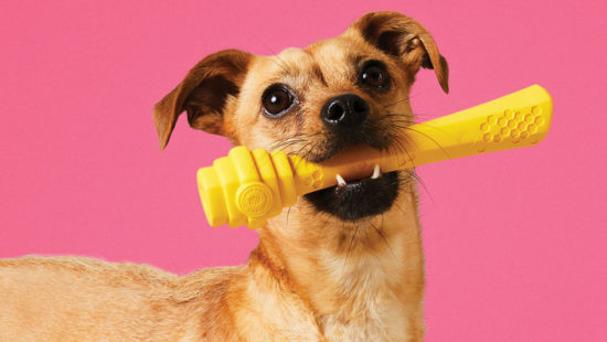 Six Startups Inspired by Dogs