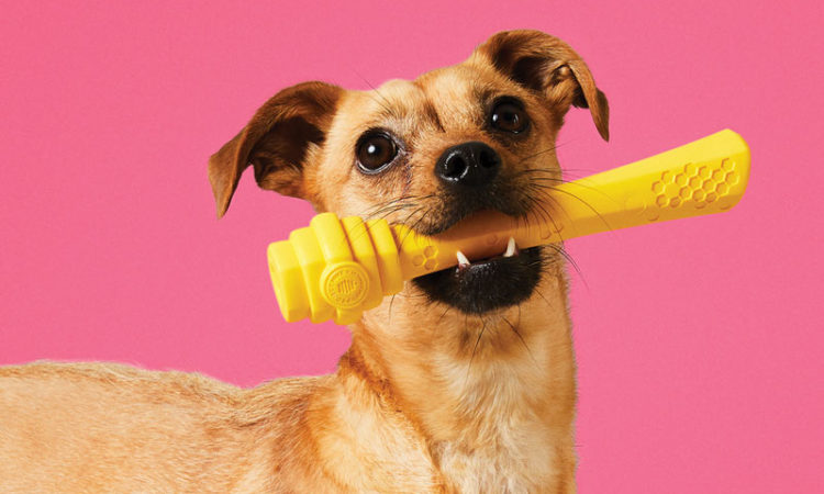 Six Startups Inspired by Dogs