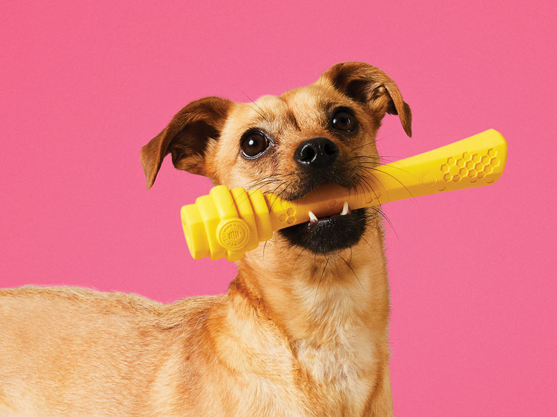 Six Startups Inspired by Dogs