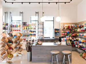 Copilot Dog Outfitters