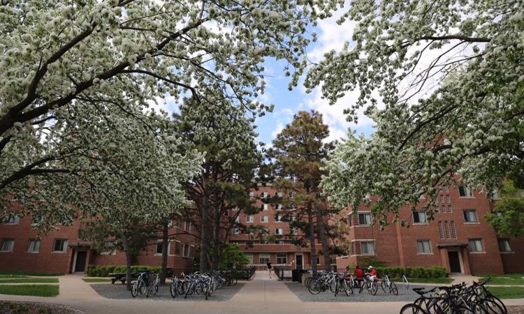 Unionized U of M Service Workers to Rally Over Wages