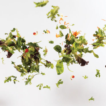 Who Will Win the Salad Wars?