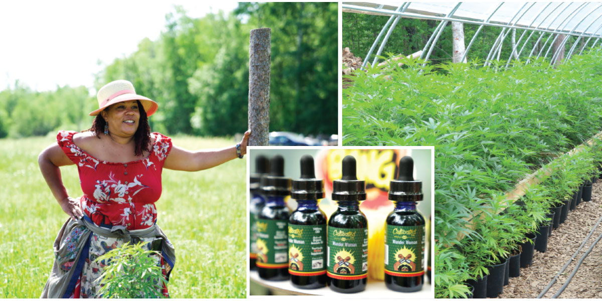 Angela Dawson, founder of 40-Acre Cooperative and her Wunder Woman strain of hemp