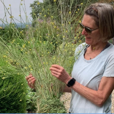 Compostable Floral Foam Startup Wins MN Cup