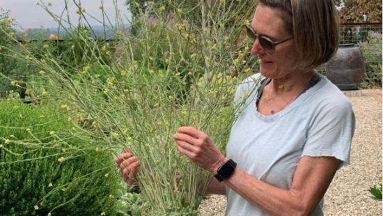 Compostable Floral Foam Startup Wins MN Cup